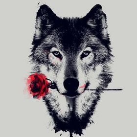 MrSonofWolf