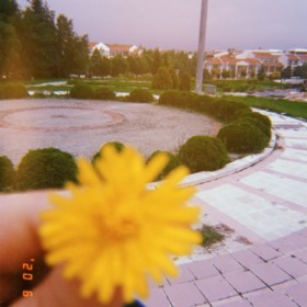 Vleylamx
