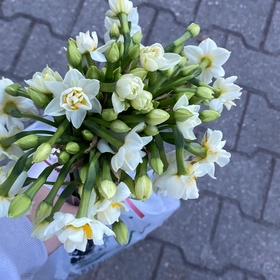 dünyams