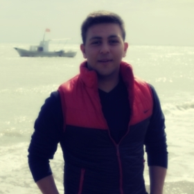 mustikamil01