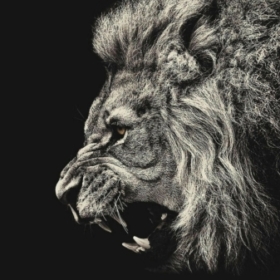 İbrahim__A