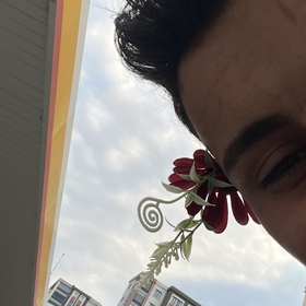 davutozturrk1