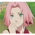 sakuraharuno