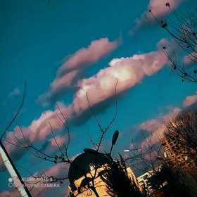 darkpolarstar