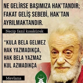 temas15