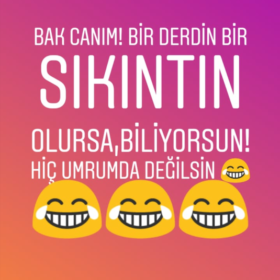 Sariaydinnn