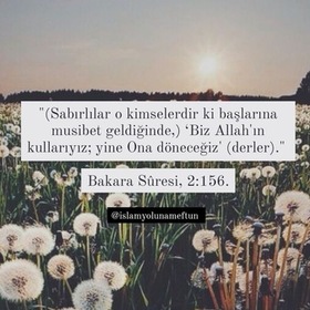 Papatya242021