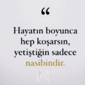 arasADS01