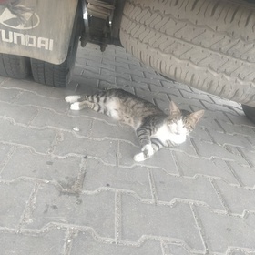 Tükendimçok1