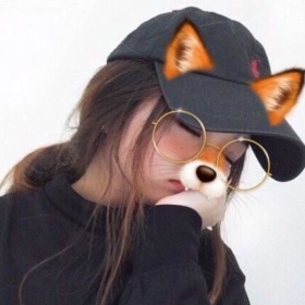 aleynarmy