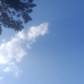 Alikemalyılmaz