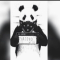 ÖlümsüzPanda