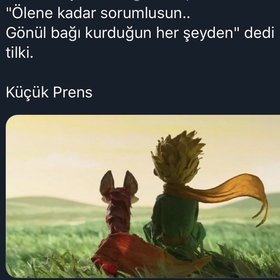 jezeyKP