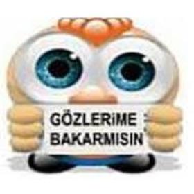 Birbenvarbendenileri