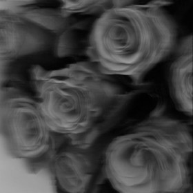 Buse_123_