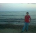 sadon84