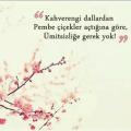 polyanna8268
