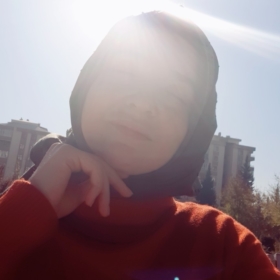 Minibann