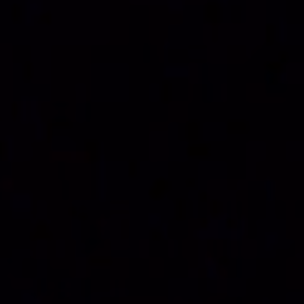 Yarenyvz