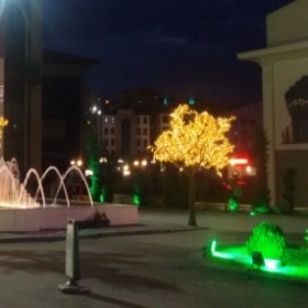 Bıkmış_yorulmuş