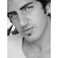 BestModel