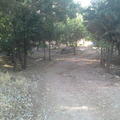 Harun0006