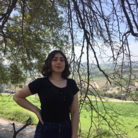 Ayşeuysall0
