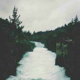 deathofdreams1