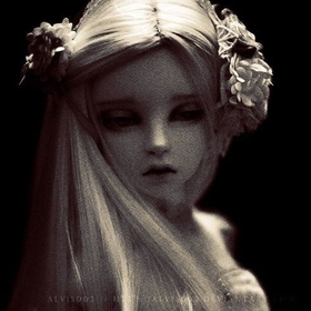 dollwy