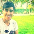 alim__