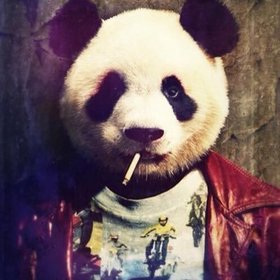 zevksiz_panda