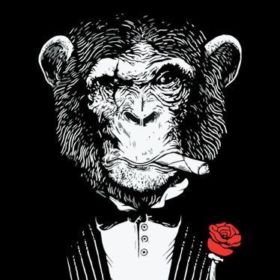 CrazyMonkey