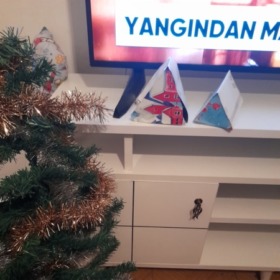 Dilekistanbul