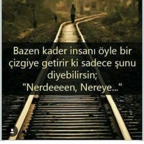 Çakır1980