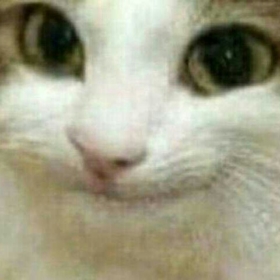 spreyboya77