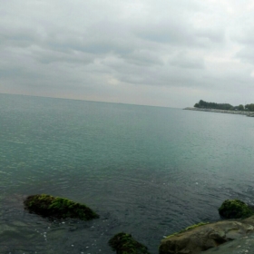 nerdesinleyla