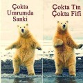 huorarfeiniel