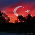 06angaralı