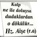 eypkrkmz61