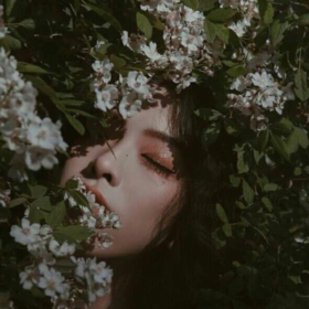 nightflower