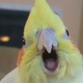 MrsCocktaiel