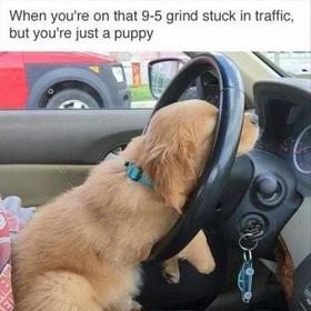 r343r