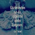 duygusalkaplumbağa