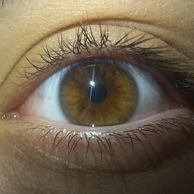 Haliliskoowjwjjwj
