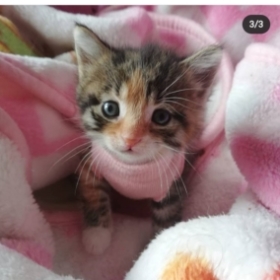 Sanem_adıgzl