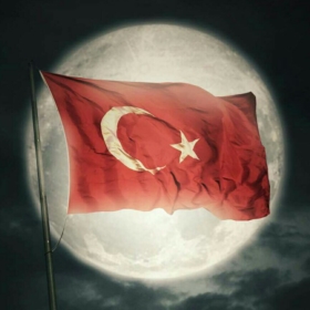adiyosssinyor