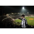 FEDAA1903