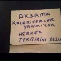 Pasakli-Korsan