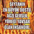 NilayŞen