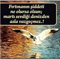 evren116